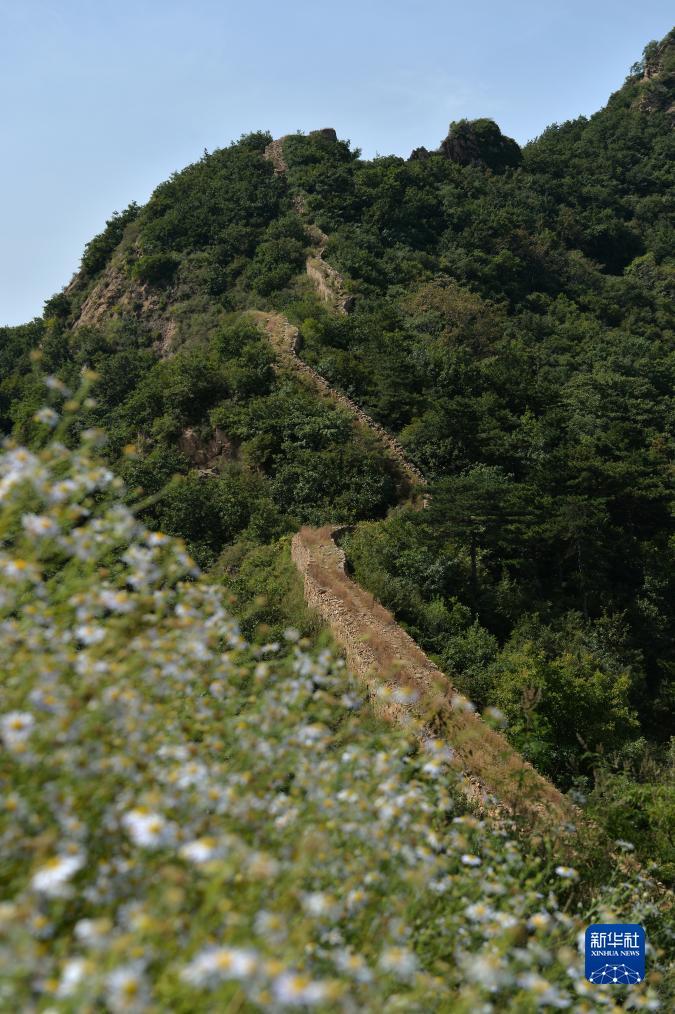 下载新赌场